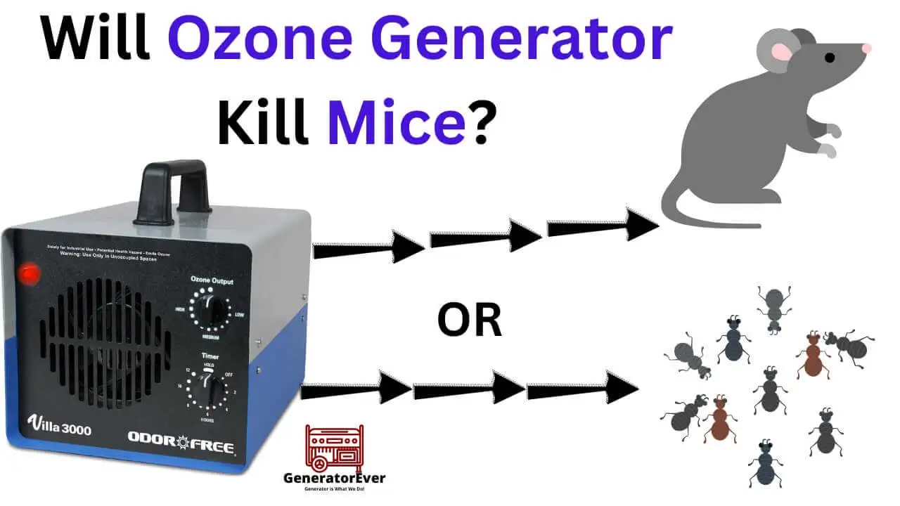 Will Ozone Generator Kill Mice? Is It Possible? Why Or Why Not